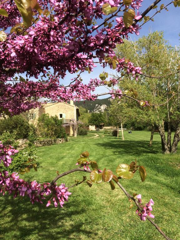 Bed and Breakfast La Ferme Des Belugues Le Barroux Экстерьер фото